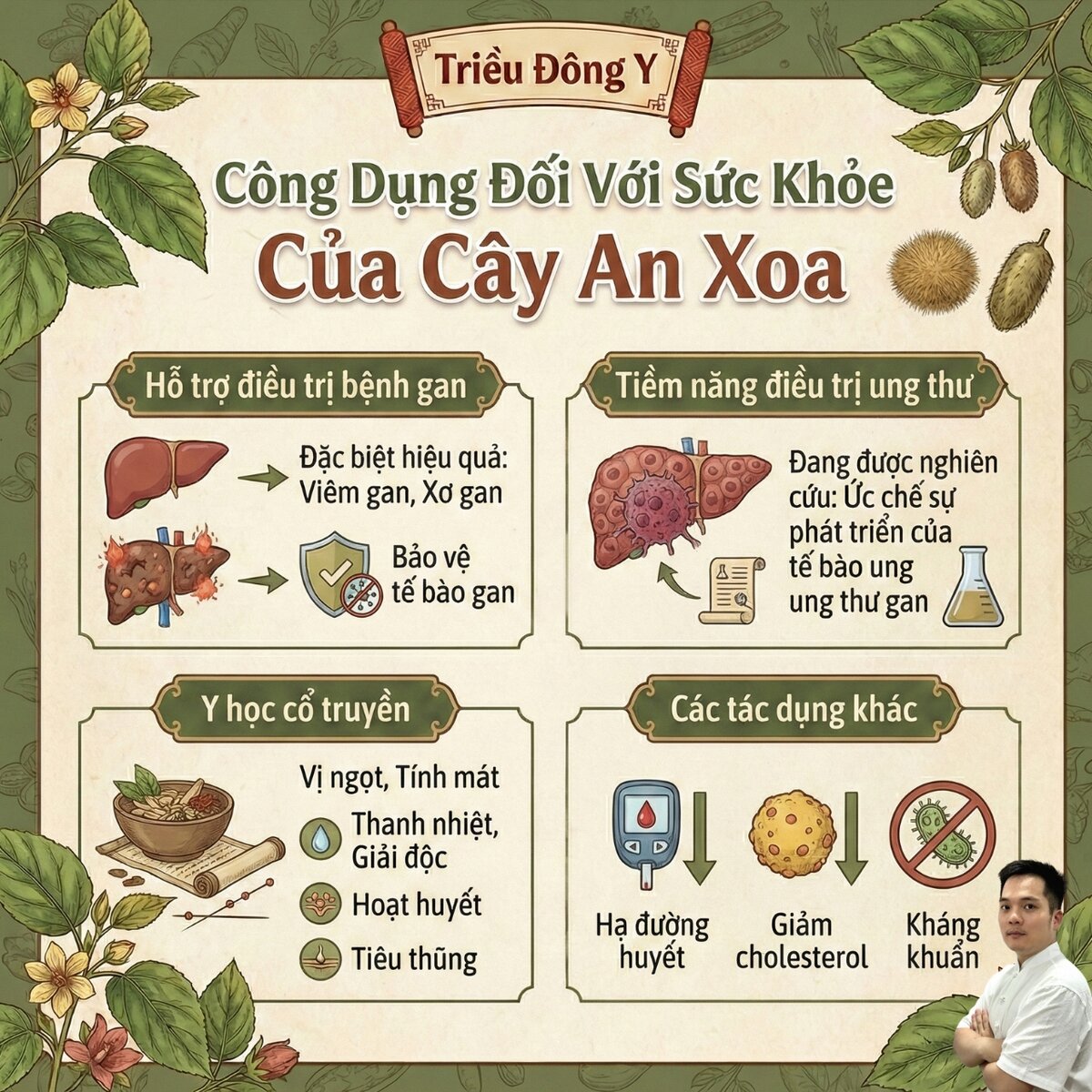 Công Dụng Cây An Xoa