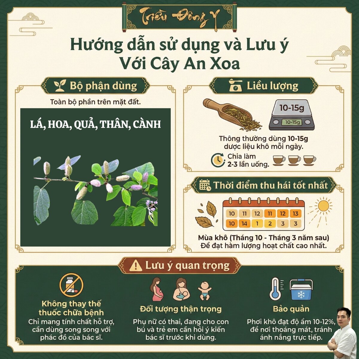 Hướng dẫn sử dụng và lưu ý dùng với cây An Xoa
