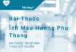 Bài thuốc trị bế kinh ích mẫu hương phụ thang