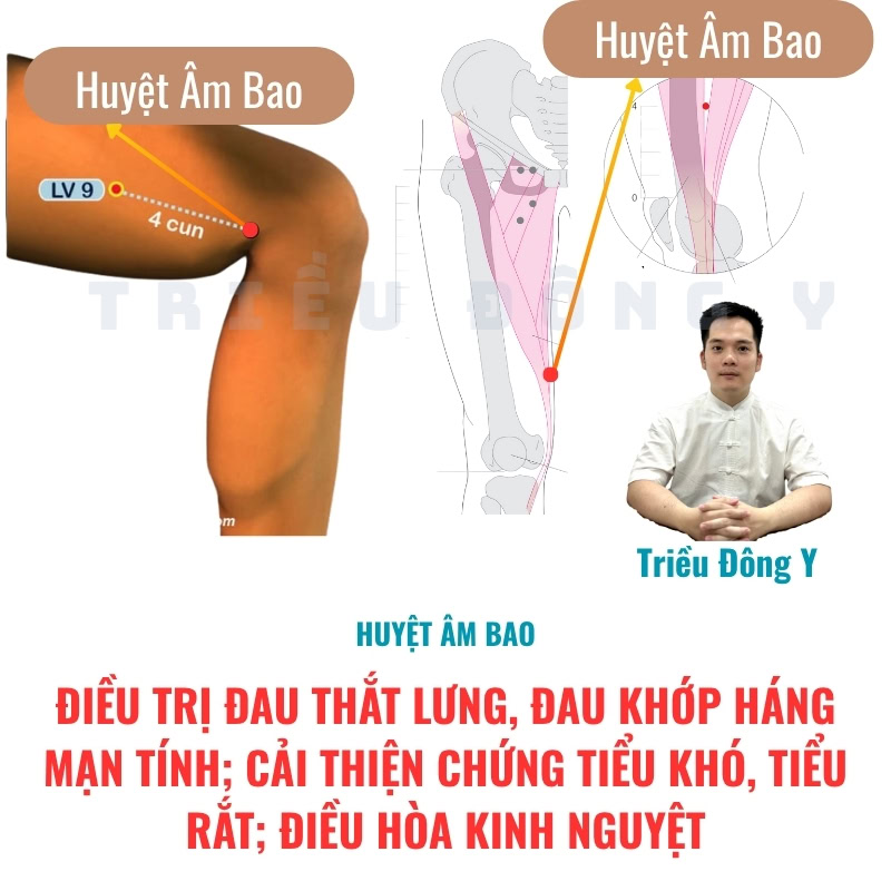 Tác dụng huyệt Âm Thị: Điều trị đau thắt lưng, đau khớp háng mạn tính; Cải thiện chứng tiểu khó, tiểu rắt; Điều hòa kinh nguyệt
