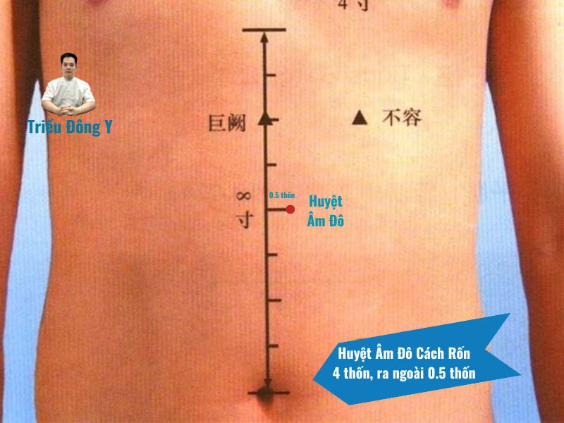 Vị trí huyệt âm đô, huyệt âm đô nằm ở đâu?