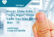 Huyệt Châu Viên 4 Huyệt Châu Viên - "Viên Ngọc" Chữa Lành Các Vấn Đề Về Mắt