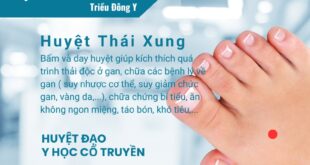 Huyệt Thái Xung: Vị trí, Tác dụng và Ứng dụng Điều trị