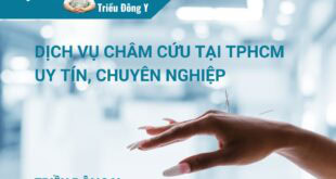 Dịch vụ châm cứu trị liệu tại Thành phố Hồ Chí Minh: Dịch vụ toàn diện, chuyên môn sâu với đội ngũ lương y giàu kinh nghiệm, đáp ứng tiêu chuẩn chẩn trị chuẩn YHCT