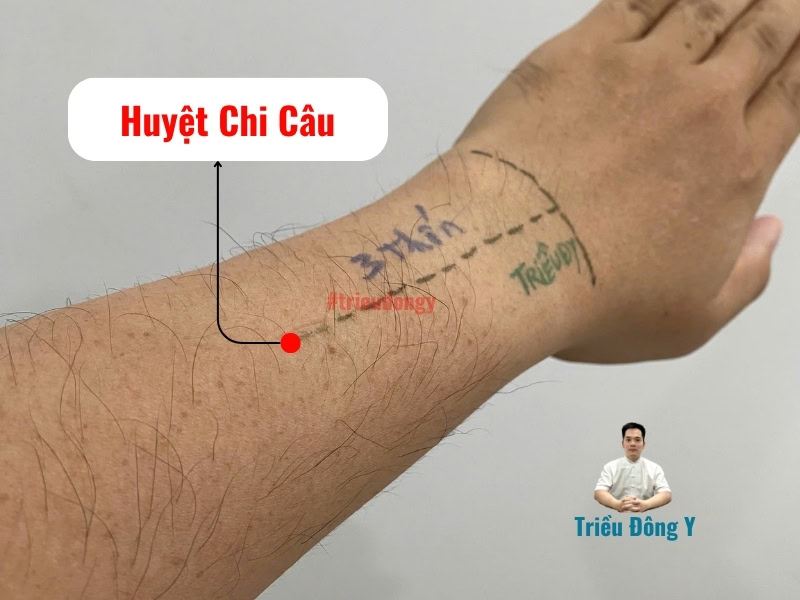 Huyệt Chi Câu 5 Vị trí và cách xác định huyệt Chi Câu chuẩn nhất
