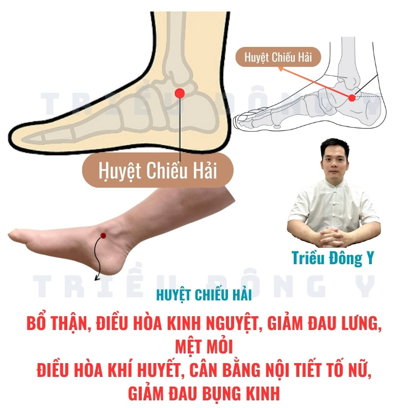 Huyệt Chiếu Hải 9 Việc phối hợp huyệt Chiếu Hải cùng các huyệt đạo tương thích giúp tối ưu hóa công năng bổ thận và điều hòa khí huyết. Phương pháp này đóng vai trò quan trọng trong việc cân bằng nội tiết tố nữ, ổn định chu kỳ kinh nguyệt, đồng thời giải quyết hiệu quả tình trạng đau lưng, mệt mỏi và thống kinh (đau bụng kinh).
