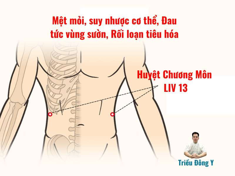 Huyệt Chương Môn 5 Huyệt Chương Môn (Zhangmen) Thuộc Kinh Can