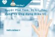 Huyệt Phế Tâm: Vị trí, Tác dụng và Ứng dụng Điều trị