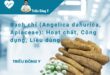 Bạch Chỉ 10 Bạch chỉ (Angelica dahurica, Apiaceae): Hoạt chất, Công dụng, Liều dùng