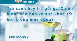 Trà xanh hay trà gừng: "Chiến binh" nào bảo vệ sức khỏe tốt hơn trong mùa đông?