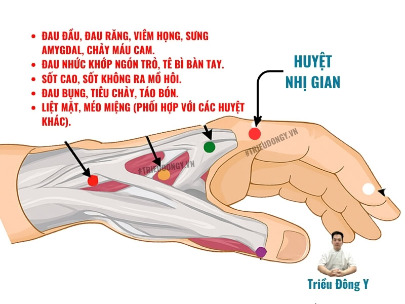 Vị Trí, Tác Dụng Huyệt Nhị Gian