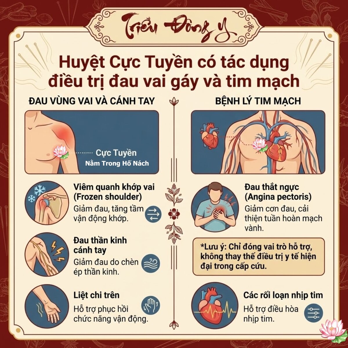 Chủ trị huyệt cực tuyền trong điều trị vai cổ gáy và bệnh tim