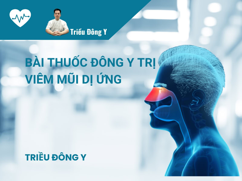 Trị Viêm Mũi Dị Ứng Hiệu Quả Với 4 Bài Thuốc Y Học Cổ Truyền