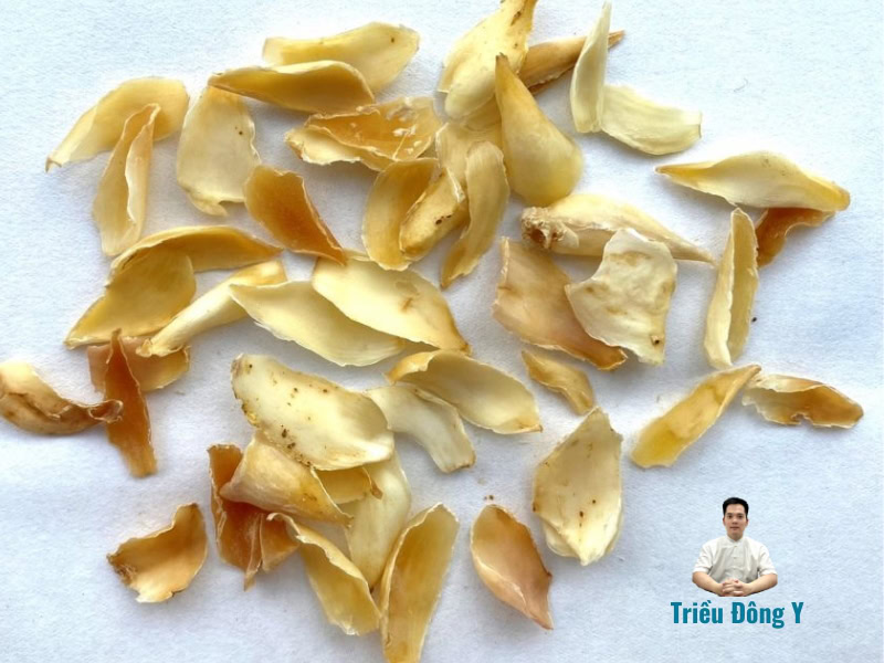 Bộ phận dùng vị thuốc Bách hợp (Hoa vị thuốc bách hợp (Tỏi rừng, Tỏi trời, Sơn Pha, Sơn Đông)