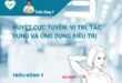 Huyệt Cực Tuyền: Vị trí, Tác dụng và Ứng dụng Điều trị