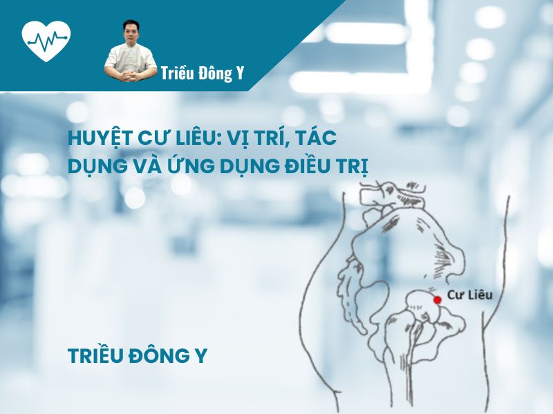 Huyệt Cư Liêu 4 Huyệt Cư Liêu: Vị trí, Tác dụng và Ứng dụng Điều trị
