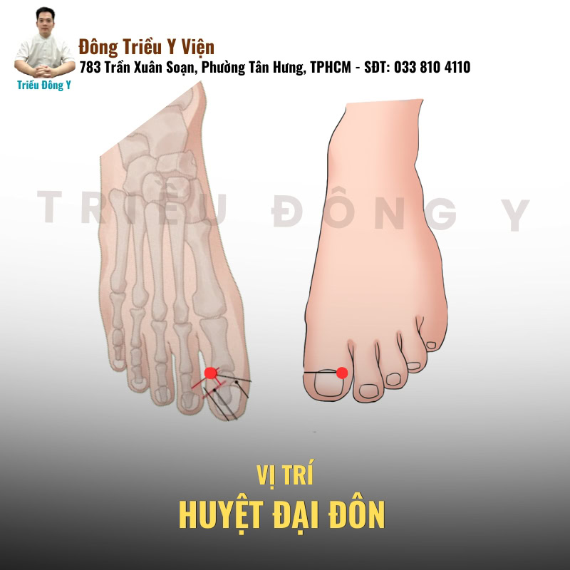 Huyệt Đại Đôn 4 Huyệt Đại Đôn: Ý nghĩa tên gọi và xuất xứ của huyệt