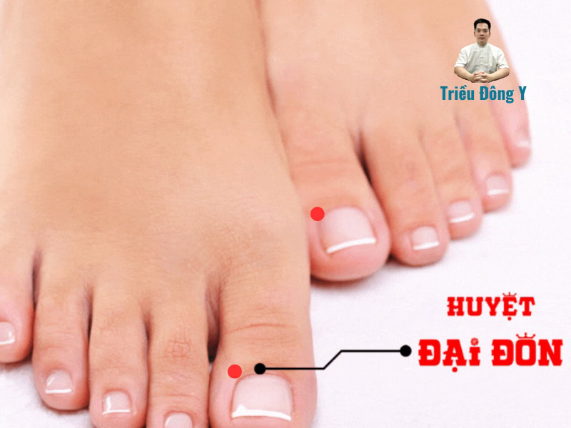 Huyệt Đại Đôn: Ý Nghĩa Tên Gọi và Xuất Xứ