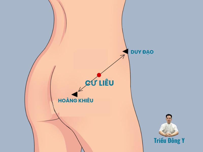 Huyệt Cư Liêu 5 Xác định vị trí Huyệt Cư Liêu