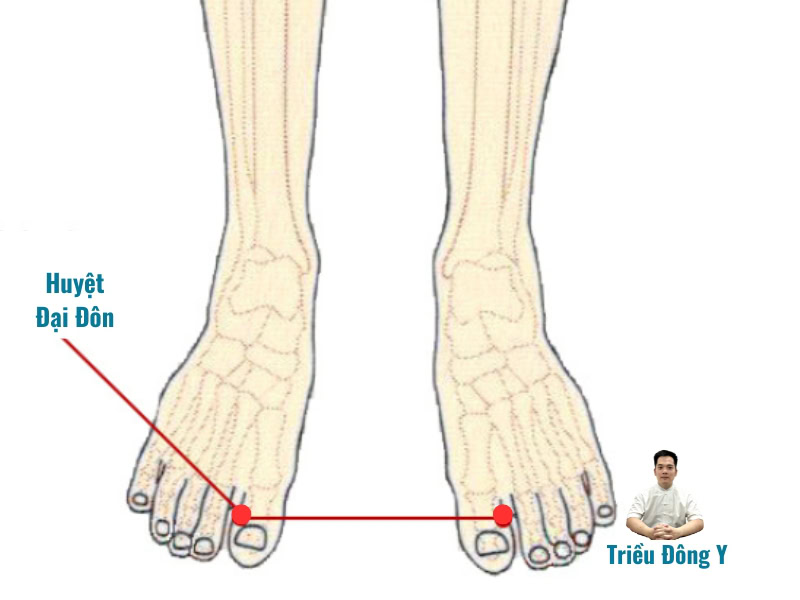 Vị trí huyệt Đại Đôn