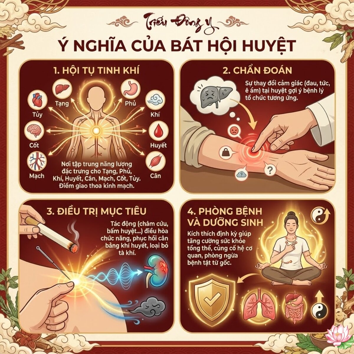 Bát Hội Huyệt 13 Sơ đồ ý nghĩa của bát hội huyệt