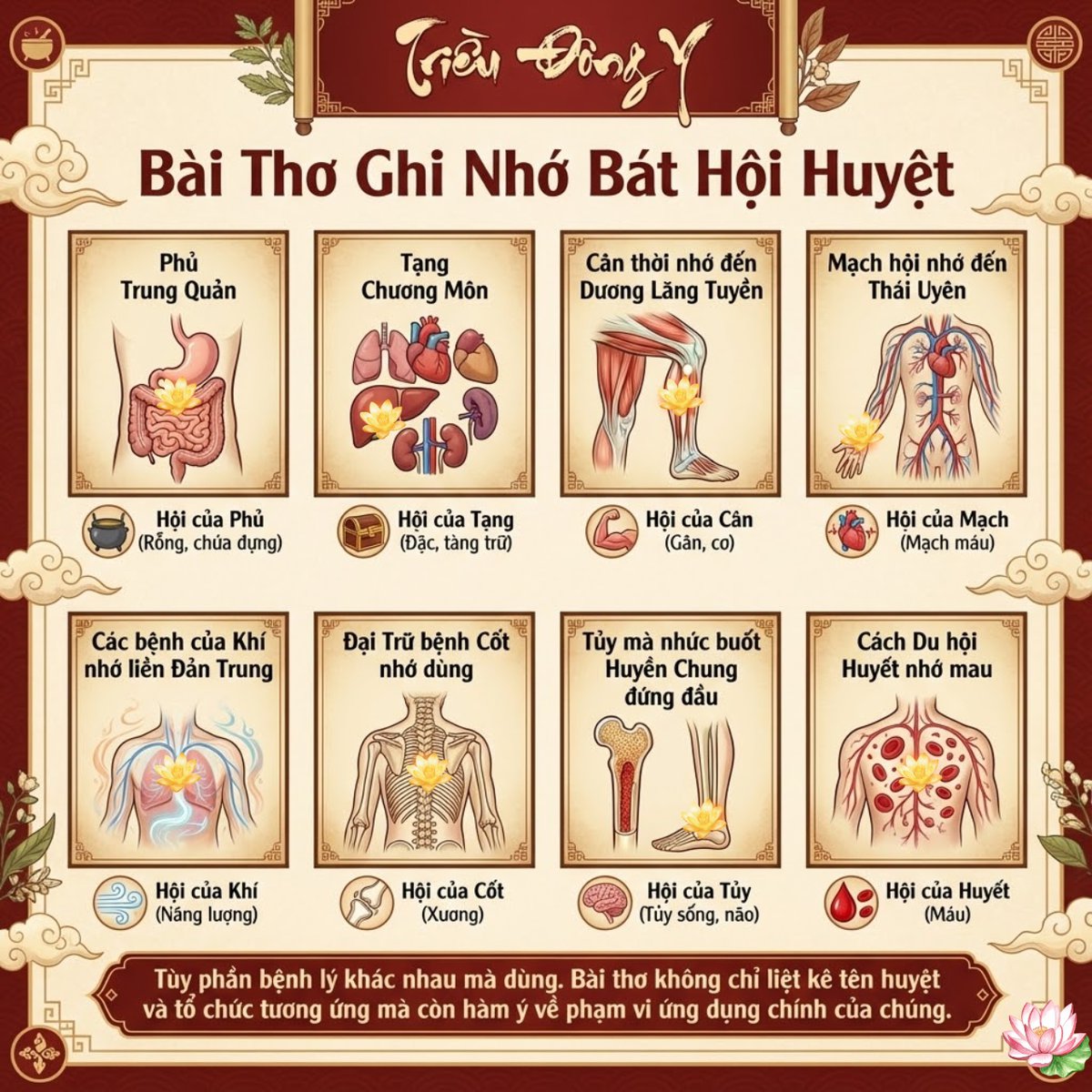 Bát Hội Huyệt 14 Bảng ghi nhớ bài thơ bát hội huyệt cực dễ nhớ