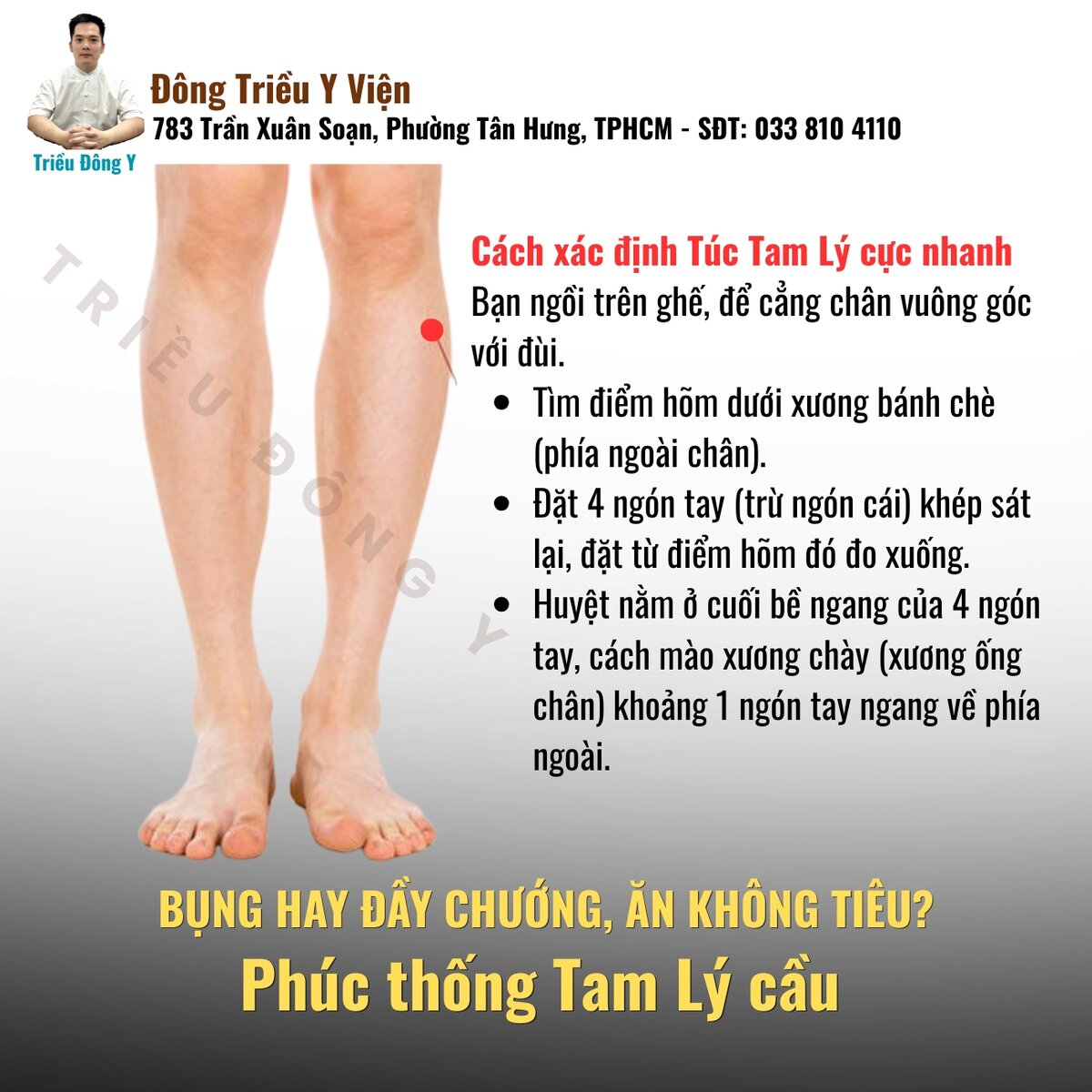 Huyệt Túc Tam Lý (ST36) 8 Cách xác định huyệt túc tam lý