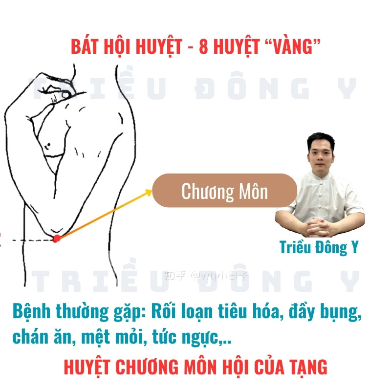 Bát Hội Huyệt 16 Chương Môn (LR13) - Huyệt Hội của Tạng