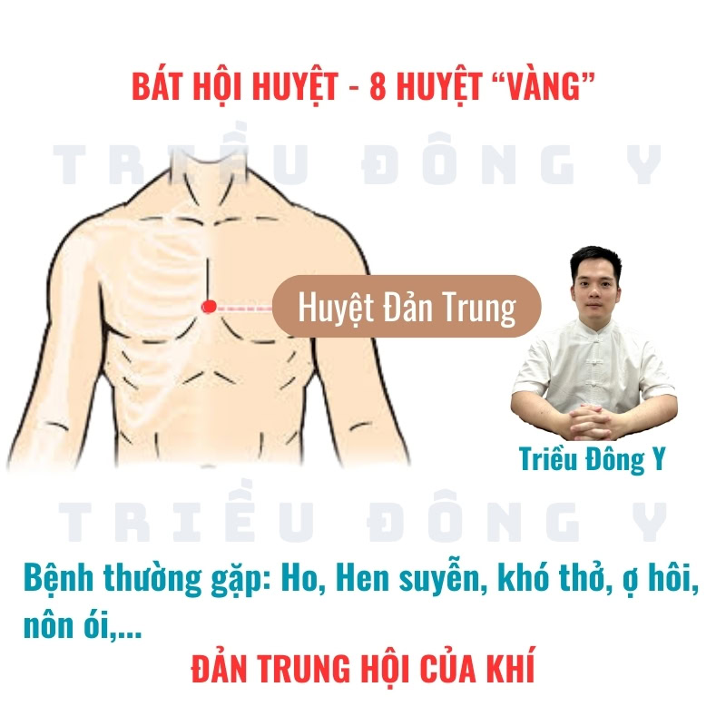 Bát Hội Huyệt 19 Đản Trung (CV17) – Huyệt Hội của Khí