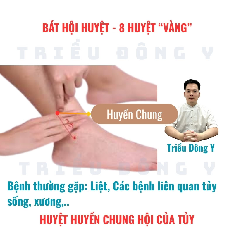 Bát Hội Huyệt 21 Huyền Chung (GB39) – Huyệt Hội của Tủy