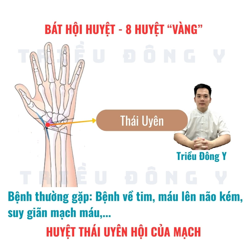 Bát Hội Huyệt 18 Thái Uyên (LU9) – Huyệt Hội của Mạch