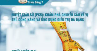 Huyệt Giản Sử: Vị trí, Tác dụng, Ứng dụng Điều trị