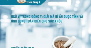 Ngũ Vị Trong Đông Y Là Gì? Mối Quan Hệ Dược Lý
