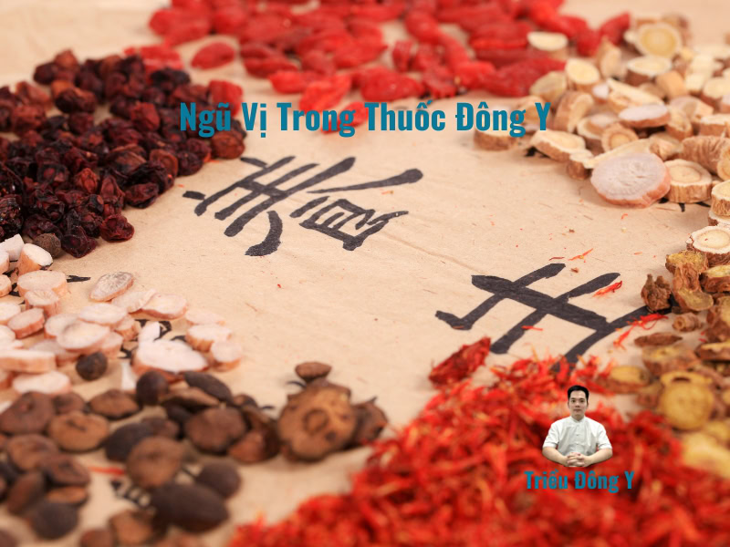 Ngũ Vị Trong Đông Y: Giải Mã Bí Ẩn Dược Tính và Ứng Dụng Toàn Diện Cho Sức Khỏe