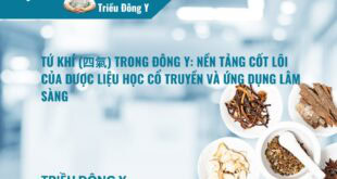 Tứ Khí Trong Đông Y Là Gì? Ứng Dụng Trong Thuốc Đông Y
