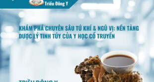 Tứ Khí Ngũ Vị Trong Y Học Cổ Truyền: Khí Vị Thuốc Đông Y