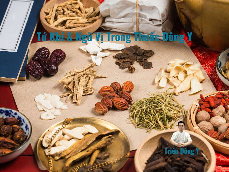 Tứ Khí Ngũ Vị 2 Khám Phá Chuyên Sâu Tứ Khí & Ngũ Vị: Nền Tảng Dược Lý Tinh Túy Của Y Học Cổ Truyền