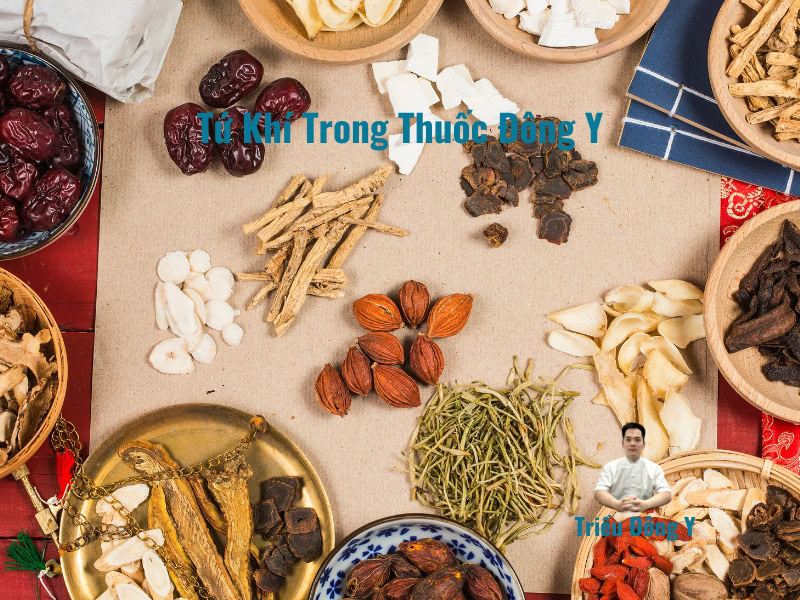 Tứ Khí (四氣) Trong Đông Y: Nền Tảng Cốt Lõi Của Dược Liệu Học Cổ Truyền và Ứng Dụng Lâm Sàng