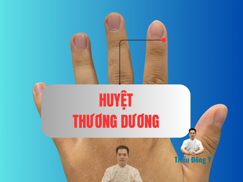 Huyệt Thương Dương (LI1): Khai Thông Kinh Khí, Chấm Dứt Đau Nhức Cấp Tính - Góc Nhìn Chuyên Sâu