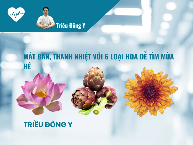 Mát Gan, Thanh Nhiệt Với 6 Loại Hoa Dễ tìm Mùa Hè 5 Mát Gan, Thanh Nhiệt Với 6 Loại Hoa Dễ tìm Mùa Hè