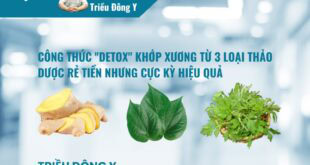 Ba Vị Thuốc Nam Phổ Biến Giảm Đau Nhức Xương Khớp: Góc Nhìn Khoa Học và Ứng Dụng Thực Tiễn