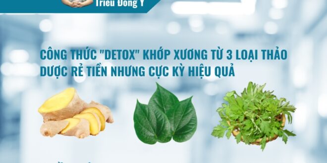 Ba Vị Thuốc Nam Phổ Biến Giảm Đau Nhức Xương Khớp
