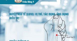 Huyệt Ngư Tế (LU10): Vị trí, Tác dụng, Ứng dụng Điều trị