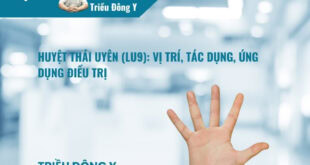 Huyệt Thái Uyên (LU9): Vị trí, Tác dụng, Ứng dụng Điều trị