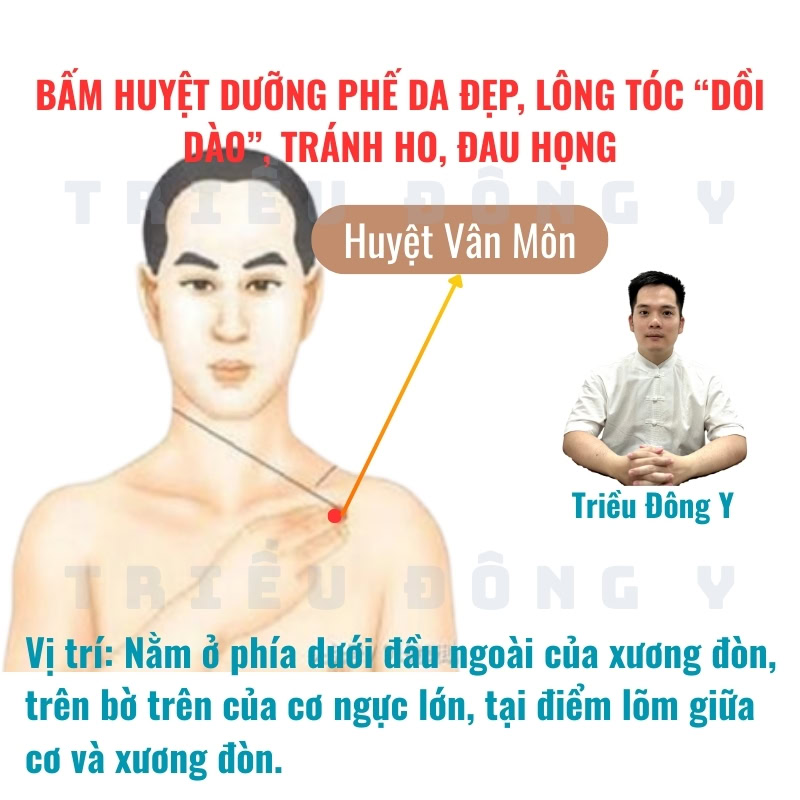 Huyệt Vân Môn - Bộ Huyệt Dưỡng Phế