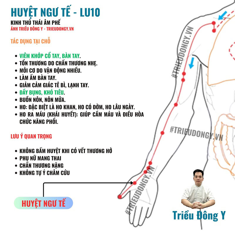 Huyệt Ngư Tế 4 Tác Dụng Huyệt Ngư Tế (LU10)