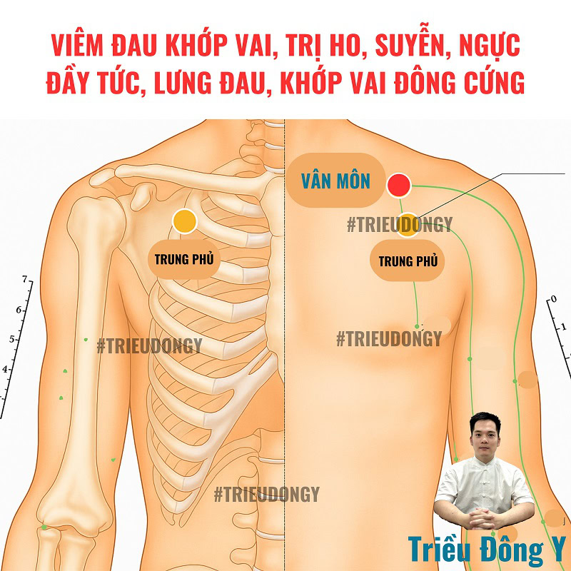 Tác Dụng Huyệt Vân Môn