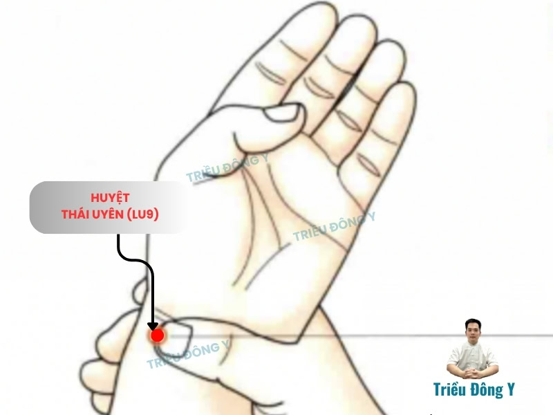 Vị Trí Huyệt Thái Uyên (LU9)