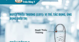 Huyệt Thiếu Thương (LU11): Vị trí, Tác dụng, Ứng dụng Điều trị