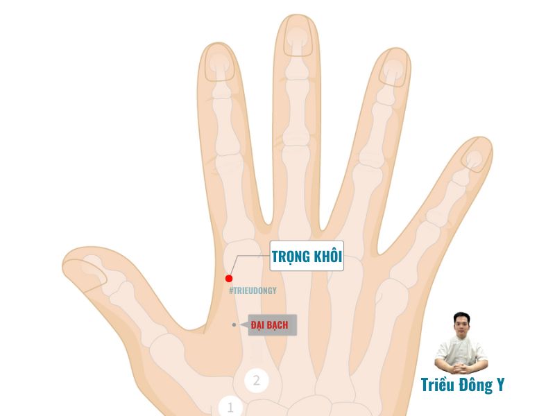 Vị Trí Huyệt Trọng Khôi (重魁穴): Bật Mí 'Công Tắc' Hạ Sốt, Giảm Đau Vùng Đầu Mặt Theo Y Học Cổ Truyền
